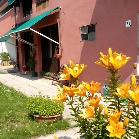 In - On An Organic Farm Pensjonat *