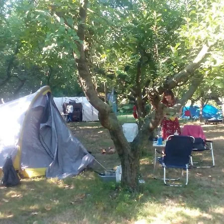 Pensjonat In - On An Organic Farm *